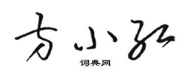 駱恆光方小紅草書個性簽名怎么寫