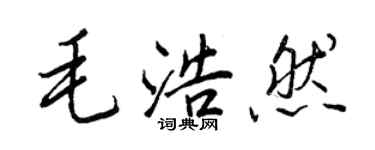 王正良毛浩然行書個性簽名怎么寫