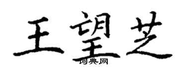 丁謙王望芝楷書個性簽名怎么寫