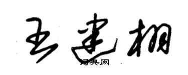 朱錫榮王建栩草書個性簽名怎么寫