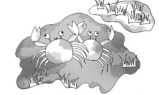 那個陽光燦爛的午後_那個陽光燦爛的午後作文