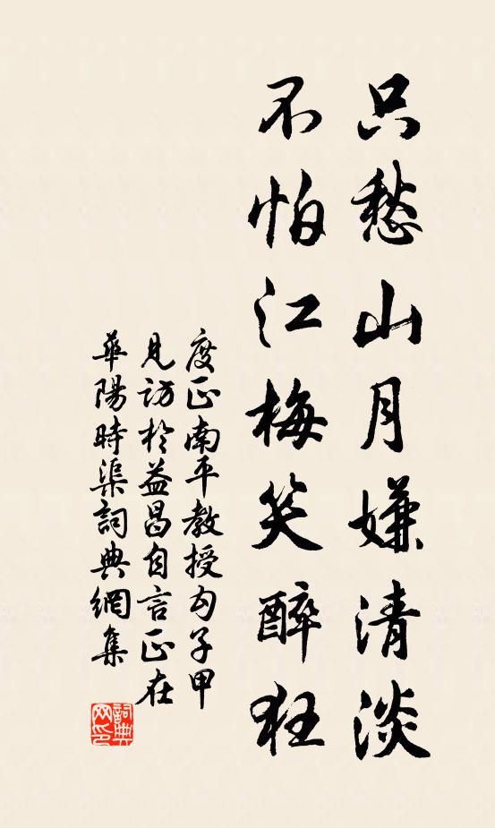 度正只愁山月嫌清淡,不怕江梅笑醉狂書法作品欣賞