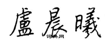 王正良盧晨曦行書個性簽名怎么寫