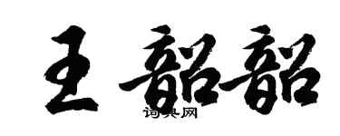 胡問遂王韶韶行書個性簽名怎么寫