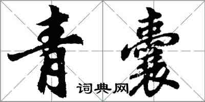 胡問遂青囊行書怎么寫