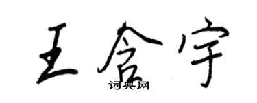王正良王含宇行書個性簽名怎么寫