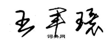 朱錫榮王軍環草書個性簽名怎么寫