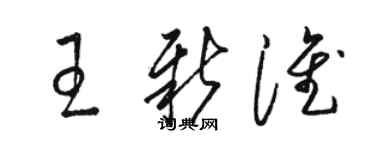 駱恆光王新淮草書個性簽名怎么寫