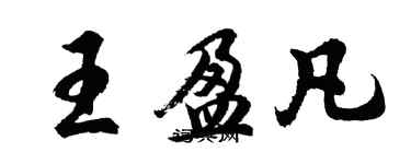 胡問遂王盈凡行書個性簽名怎么寫