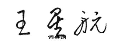 駱恆光王星航草書個性簽名怎么寫