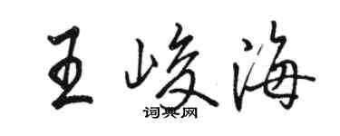 駱恆光王峻海行書個性簽名怎么寫