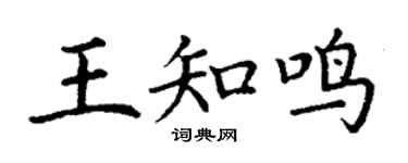 丁謙王知鳴楷書個性簽名怎么寫