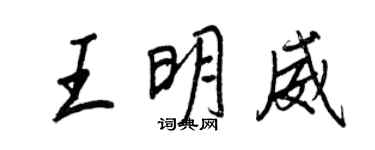 王正良王明威行書個性簽名怎么寫