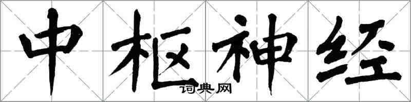 翁闓運中樞神經楷書怎么寫