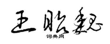 曾慶福王昭魏草書個性簽名怎么寫