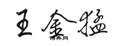駱恆光王金猛行書個性簽名怎么寫