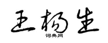 曾慶福王楊生草書個性簽名怎么寫