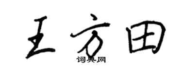 王正良王方田行書個性簽名怎么寫