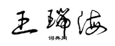 曾慶福王瑞海草書個性簽名怎么寫