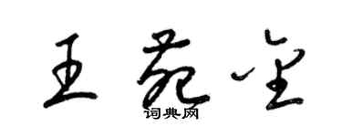 梁錦英王苑金草書個性簽名怎么寫