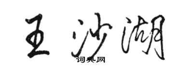 駱恆光王沙湖行書個性簽名怎么寫