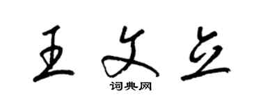 梁錦英王文立草書個性簽名怎么寫