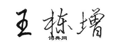 駱恆光王棟增行書個性簽名怎么寫