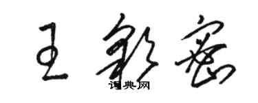 駱恆光王彩密草書個性簽名怎么寫