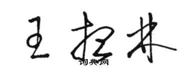 駱恆光王想林草書個性簽名怎么寫