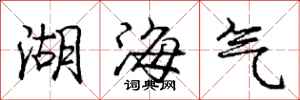 龐中華湖海氣行書怎么寫