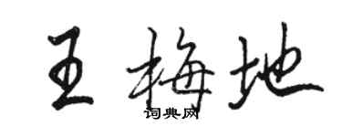 駱恆光王梅地行書個性簽名怎么寫