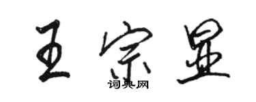 駱恆光王宗顯行書個性簽名怎么寫