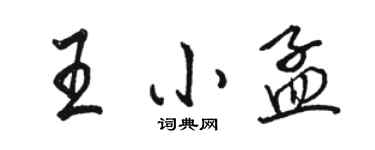 駱恆光王小孟行書個性簽名怎么寫