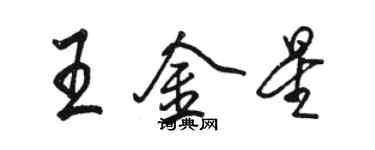 駱恆光王金星行書個性簽名怎么寫