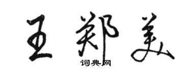 駱恆光王鄭美行書個性簽名怎么寫