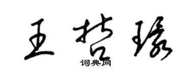 梁錦英王哲環草書個性簽名怎么寫