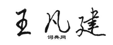 駱恆光王凡建行書個性簽名怎么寫