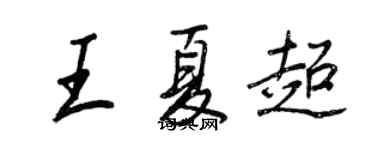 王正良王夏超行書個性簽名怎么寫