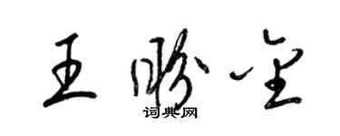 梁錦英王盼金草書個性簽名怎么寫
