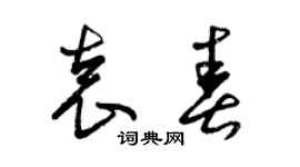 曾慶福袁春草書個性簽名怎么寫