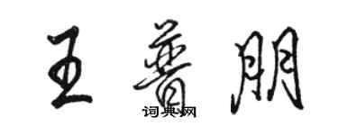 駱恆光王普朋行書個性簽名怎么寫
