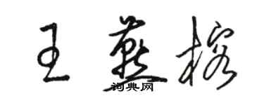 駱恆光王燕榕草書個性簽名怎么寫