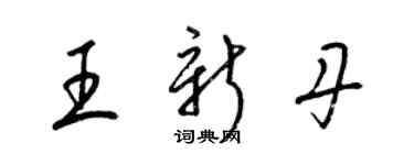 梁錦英王新丹草書個性簽名怎么寫