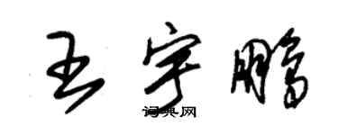 朱錫榮王宇鵬草書個性簽名怎么寫