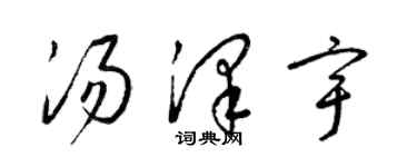 梁錦英湯澤宇草書個性簽名怎么寫