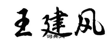 胡問遂王建風行書個性簽名怎么寫