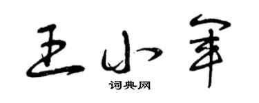 曾慶福王小軍草書個性簽名怎么寫
