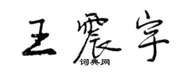 曾慶福王震宇行書個性簽名怎么寫