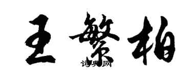 胡問遂王繁柏行書個性簽名怎么寫