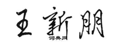 駱恆光王新朋行書個性簽名怎么寫